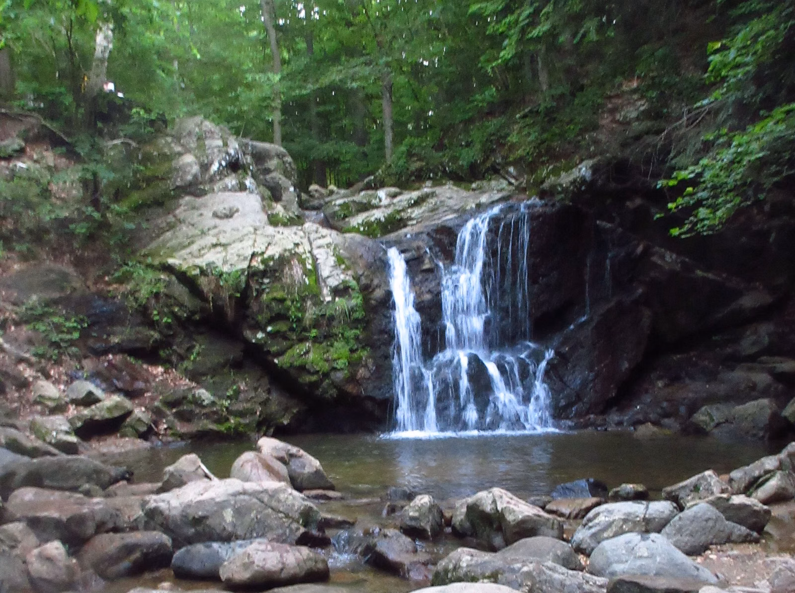 Cascade Falls in Patapsco Valley State Park, a small waterfall pouring over a rock ledge into a pool, framed by green summer woods and boulders