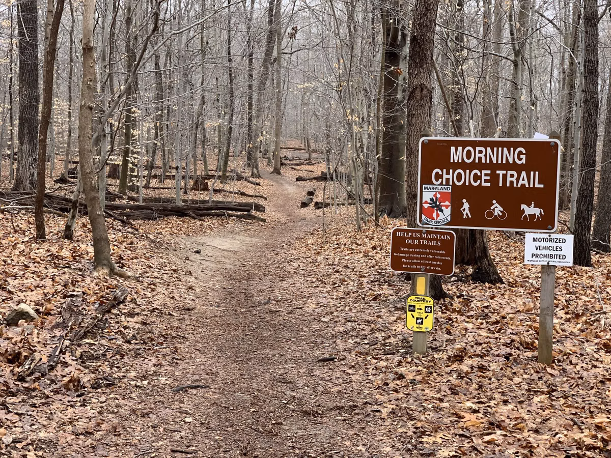 The entrance to the Morning Choice Trail, a leaf-covered dirt path into bare winter woods beside a trail sign