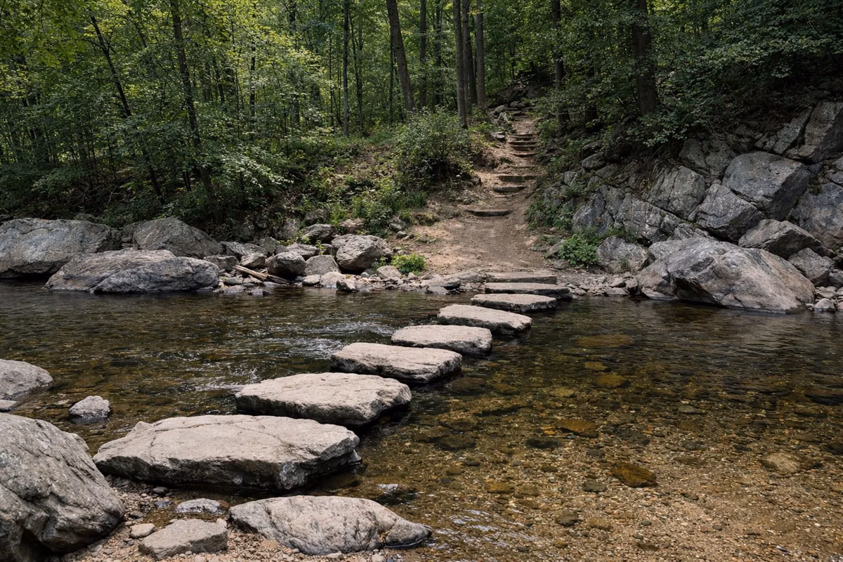 Flat stepping stones crossing a shallow clear woodland stream, the trail continuing up the far bank