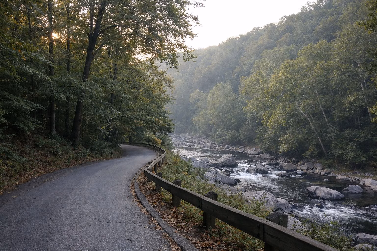 A narrow paved park road curving down into a wooded valley, morning light through the trees, no cars