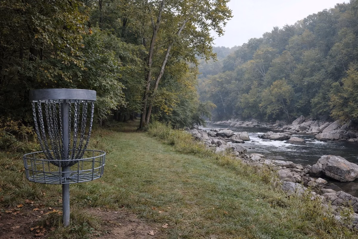 A metal disc golf basket at the edge of a forest clearing, a narrow fairway of mown grass leading into hardwood trees